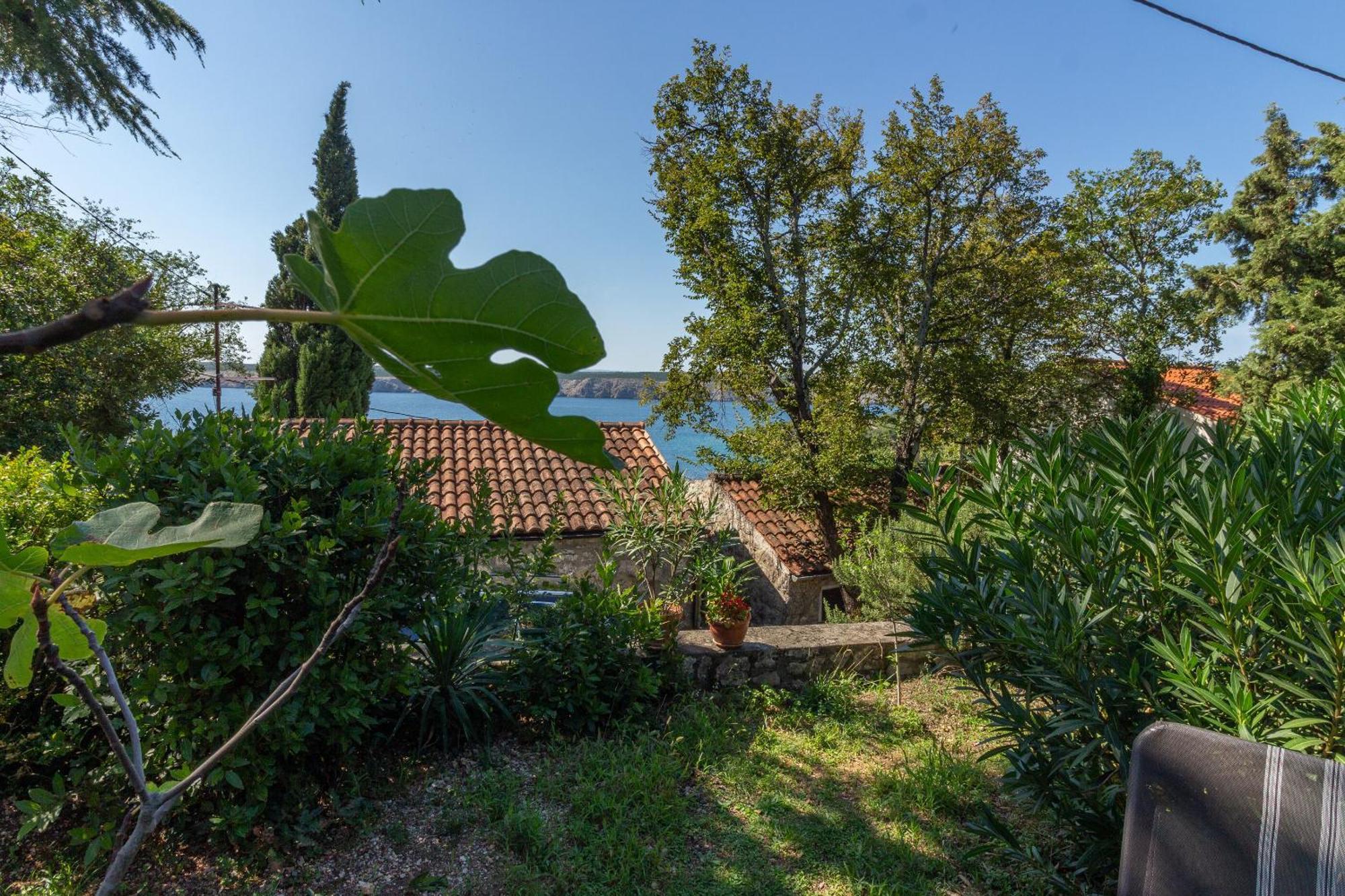 Apartment Seneca Jadranovo Zewnętrze zdjęcie